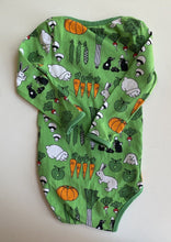 Load image into Gallery viewer, Smafolk baby size 80 (6-12 months) green bodysuit bunnies carrots, VGUC
