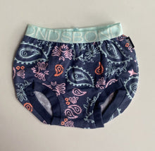 Load image into Gallery viewer, Bonds baby girl size 0-3 months blue nappy cover bloomers paisley print, VGUC
